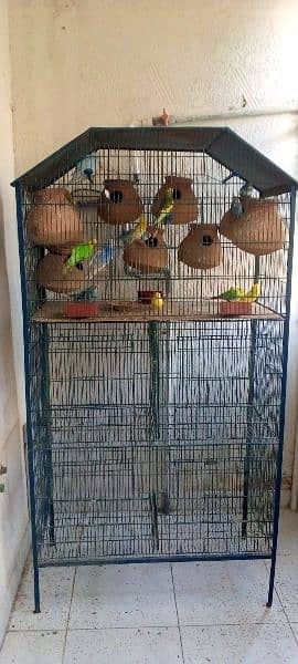 cage for sale with parrot 0