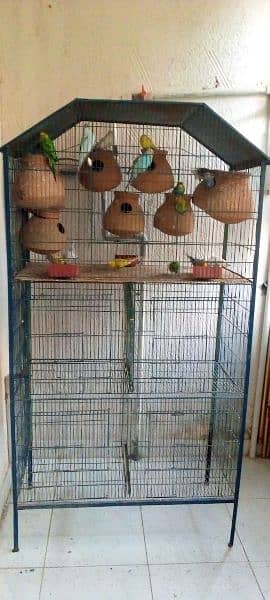 cage for sale with parrot 1