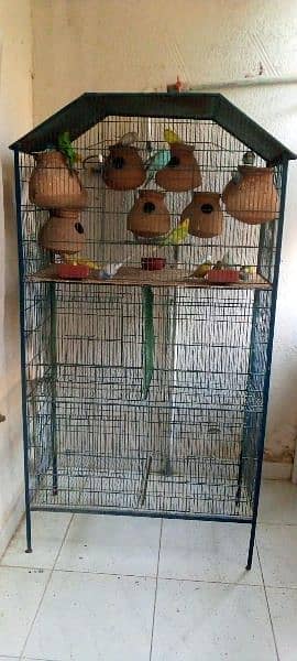 cage for sale with parrot 4