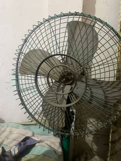 Old Fans