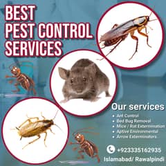 Pest Control/ Termite Control/Fumigation Spray/Deemak Control Services