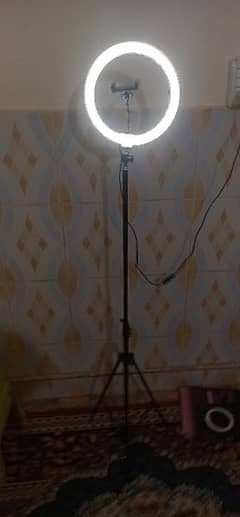 Ring light with stand argent sell