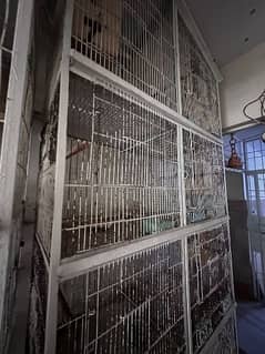 3 Bird Cage. Big clean cages for birds
