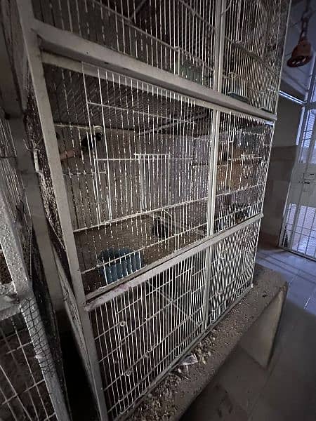 3 Bird Cage. Big clean cages for birds 5