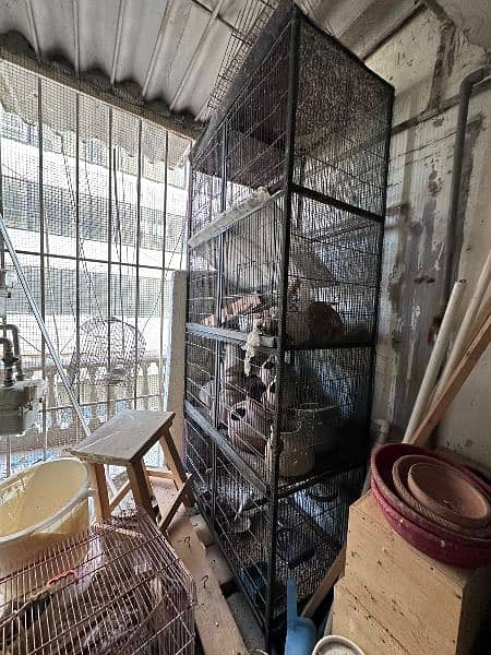 3 Bird Cage. Big clean cages for birds 6