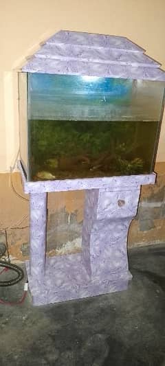 fish aquarium: 03110110785