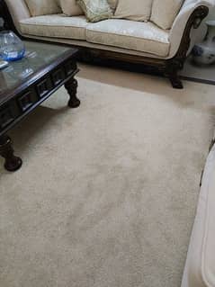 Plain Canadian Carpets