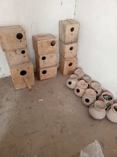 Birds Boxes for sale