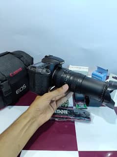 canon 30d Dslr Camera
100/300 lens high blur background result.