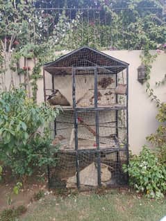 Parrot and Pigeon cage
