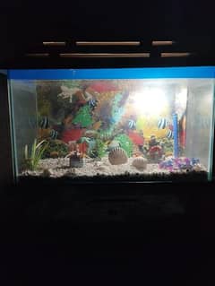 fish aquarium in excellent and new condition
