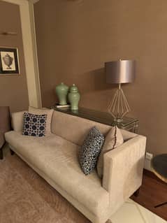 Spacious and Luxurious Sofa Set
