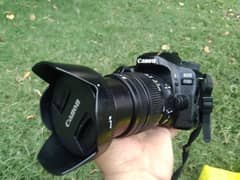 canon 80D with sigma lens 17-50