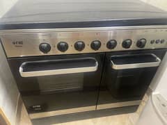 NG Cooking range with kitchen hood