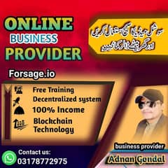 online business provider from home base