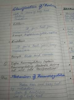 handwritting assignments
