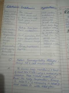 handwritting assignments