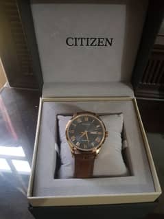 Citizen Automatic watch NH8363-14H