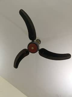 ceiling Fan 100% cooper wire