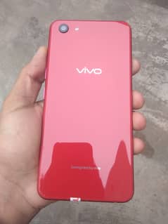 Vivo