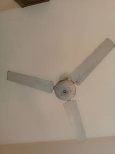 Pure Cooper Fan ,heavy fan