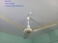 Rex Ceiling Fan