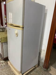 Refrigerator/Fridge Medium Size