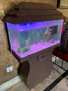 Fish Aquarium Setup For sale (2.5ft) 0