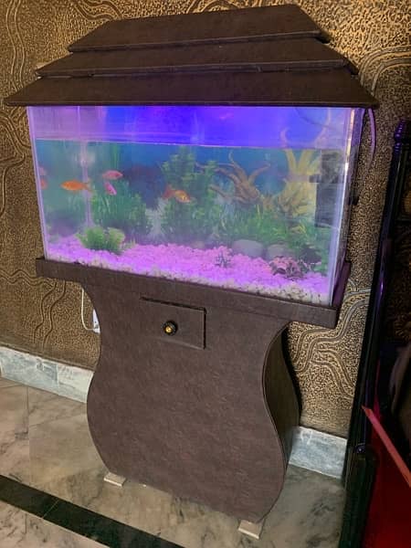 Fish Aquarium Setup For sale (2.5ft) 2