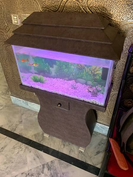 Fish Aquarium Setup For sale (2.5ft) 3