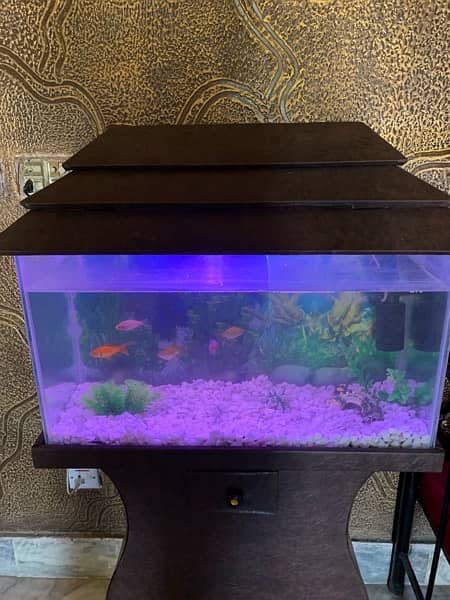 Fish Aquarium Setup For sale (2.5ft) 4