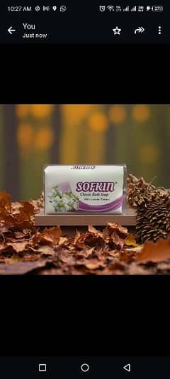 Sofkin Soap Our Pakistani Brand