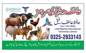 Livestock Veterinary Care ( ATIF VETERINARY SERVICES )