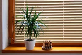 Window Blinds wooden vertical roller and many types available