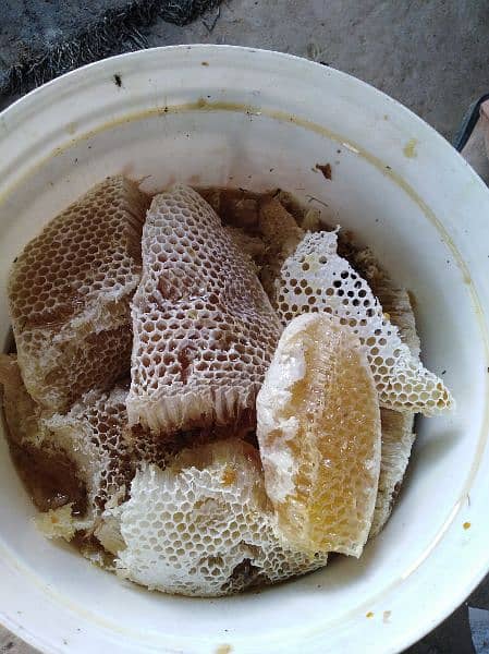 pure honey, خالص جنگلی شہد, khalis shehad, bee wax (موم), bee pollen 7