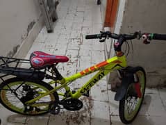 New safway cicle