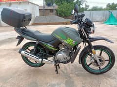 Yamaha YBR 125G 2023 7000KMS Use Condition  Total Original Best  2024