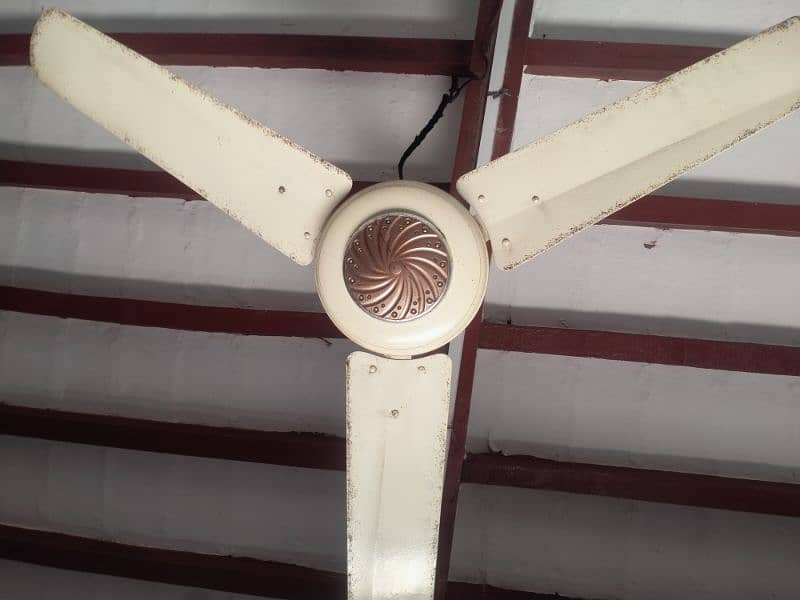 Ceiling fan for sell 1