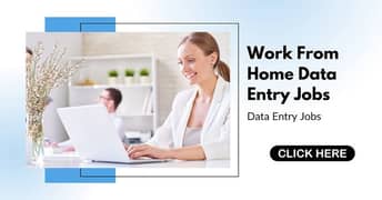 Females and Males Online part time home based data typing job availabl