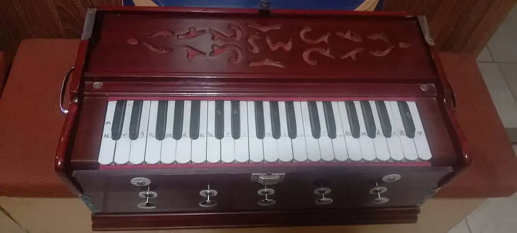 Indian Harmonium 3