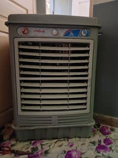 12v Dc room cooler