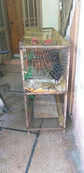 hens with  cage for sale 4