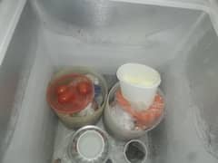 pel freezer guniun condition