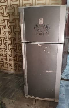 Dawlence refrigerator (full size)