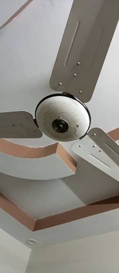 ceiling fan 100% copper
