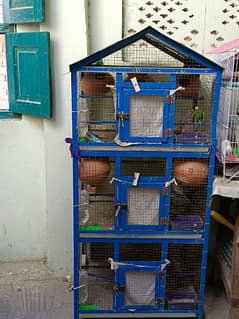 cage with parrots