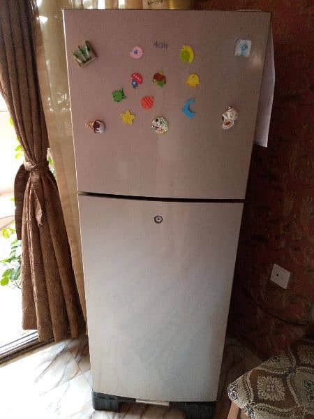 Haier refrigerator 3