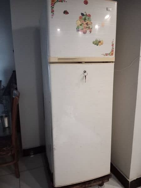 Haier  Fridge 2