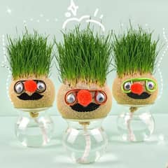 Grass Head | DIY Grass Head Dolls Growing Kit - Grow & Learn With Fun