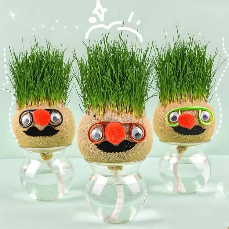 Grass Head | DIY Grass Head Dolls Growing Kit - Grow & Learn With Fun 0